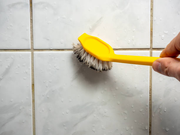 Best Bathroom Mold Remediation in Jnstown, OH
