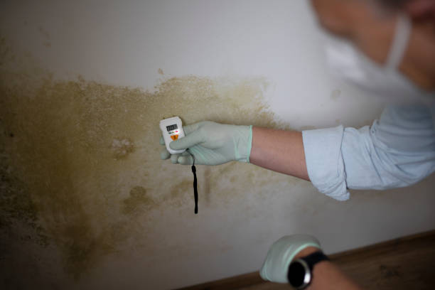 Best Industrial Mold Remediation in Jnstown, OH