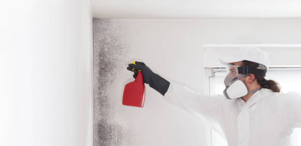 Best Mold Remediation for Specific Building Types in Jnstown, OH