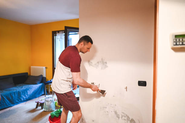Best Emergency Mold Remediation in Jnstown, OH
